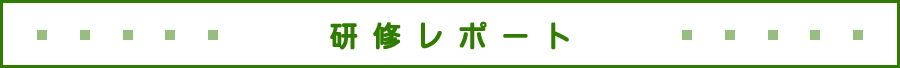 研修レポート