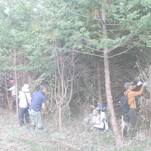ちばの木の家づくり特集事例
