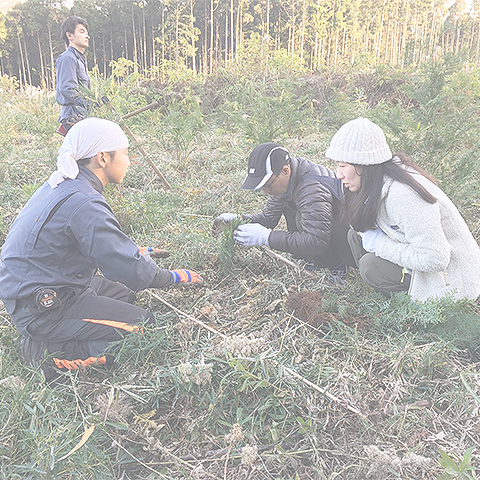 ちばの木の家づくり特集事例