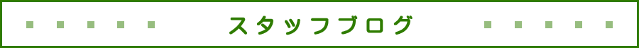 スタッフブログ