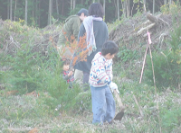 植樹の様子