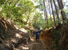 山道の様子