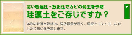 珪藻土をご存じですか？