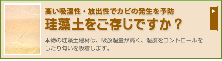 珪藻土をご存じですか？
