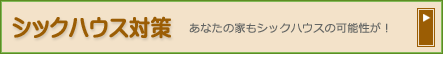 シックハウス対策