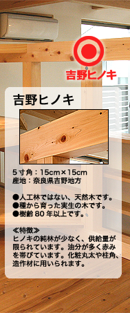 吉野ヒノキ