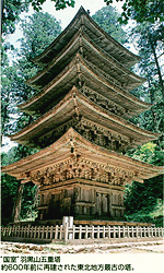 天然木の構造材