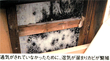 通気がされていなかったために湿気が溜まり、カビが発生