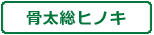 骨太総ヒノキ