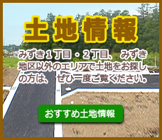 土地情報