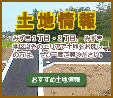 土地情報